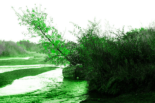 Tilted Fall Tree Over Flowing River (Green Tone Photo)