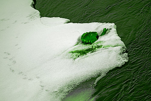 Tree Stump Eyed Snow Face Creature Along River Shoreline (Green Tone Photo)