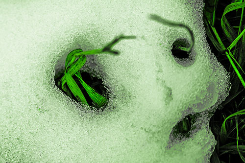 Twisting Grass Eyed Snow Face (Green Tone)