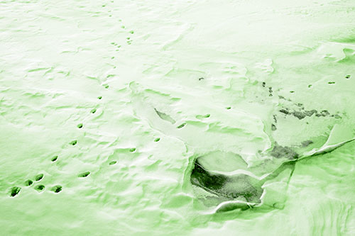 V Shaped Footprint Path Across Frozen Snow Covered River (Green Tone Photo)