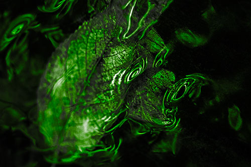 Water Ripple Faced Leaf In Submerged Trance (Green Tone)