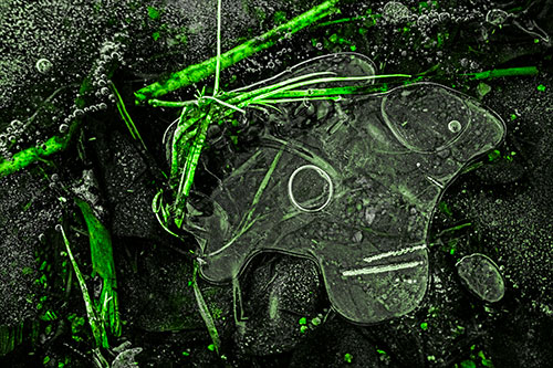 Wide Eyed Bubble Ice Face Looking Downward (Green Tone)