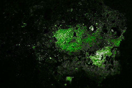 Wide Eyed Oil Demon Face Floating Atop Water (Green Tone)
