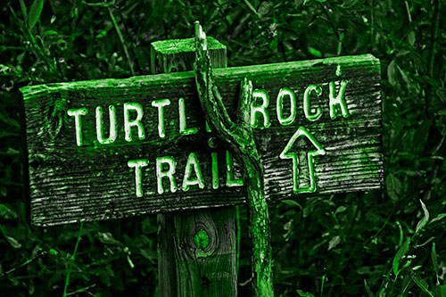 Wooden Turtle Rock Trail Sign (Green Tone Photo)