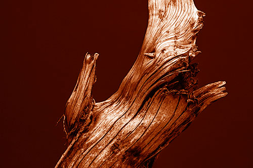 Angry Blood Stained Tree Trunk Creature Raising Fist (Orange Shade)