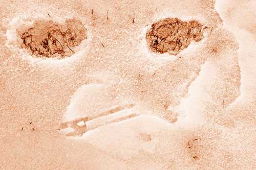 Beak Mouthed Footprint Face Among Snow (Orange Shade)