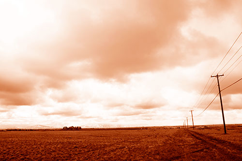 Bleak Clouded Sky Consumes Powerline Prairie (Orange Shade Photo)