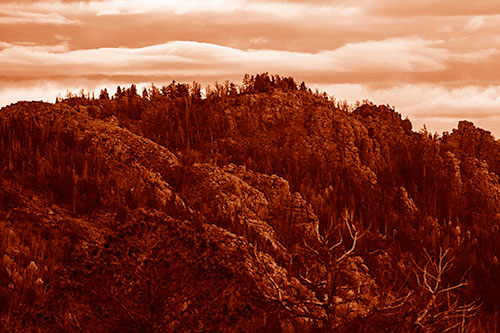 Cloudy Summit Trailhead Mountain Top (Orange Shade Photo)