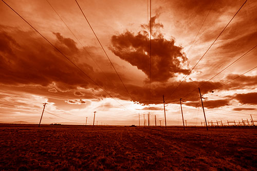 Creature Cloud Formation Above Powerlines (Orange Shade Photo)