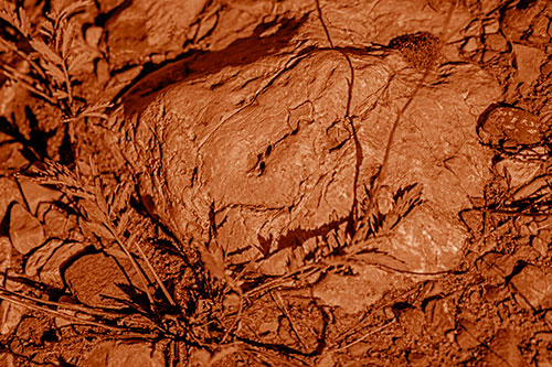 Demonic Leaf Mouthed Rock Face Snarling Among Dirt (Orange Shade)