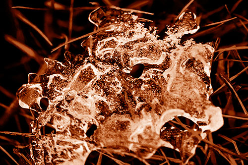 Dismayed Ice Dragon Face Frozen Among Piercing Grass Blades (Orange Shade)