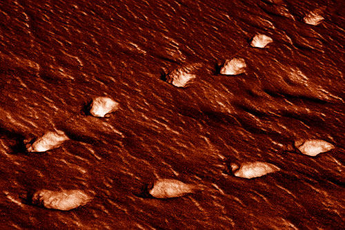 Distancing Snow Footprints (Orange Shade)