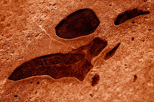 Distorted Skull Face Within Frozen Ice (Orange Shade Photo)