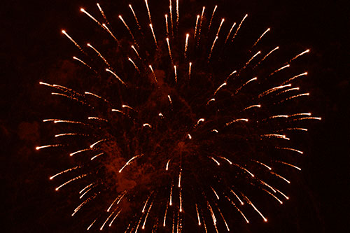 Firework Star Trails Vaporize Among Night Sky (Orange Shade Photo)
