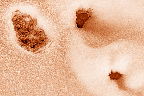Footprint Eye Snow Face Atop Rock Surface (Orange Shade)