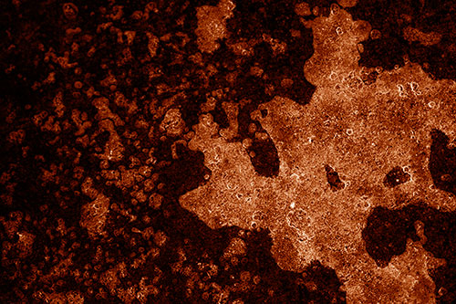 Furious Screaming Ice Face Melting Among Pavement (Orange Shade)