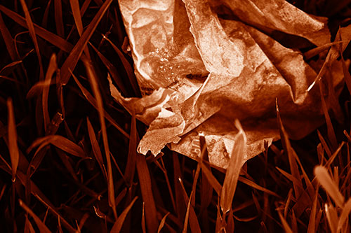 Grease Stained Demon Faced Taco Bell Wrapper (Orange Shade)