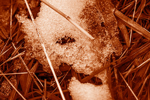 Half Melted Ice Face Smirking Among Reed Grass (Orange Shade Photo)