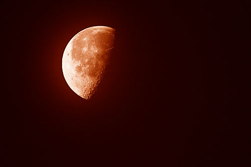 Half Moon Shining Bright (Orange Shade Photo)
