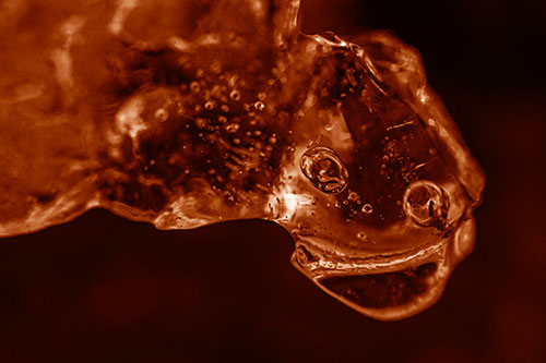Joyful Frozen Bubble Eyed River Ice Face Creature (Orange Shade Photo)