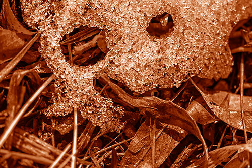 Joyful Tongue Twisting Leafy Eyed Glistening Ice Face (Orange Shade)