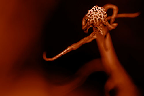 Kung Fu Gumplant Figure Punching Among Wind (Orange Shade)