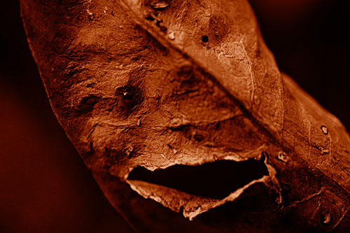 Lacerated Mouth Leaf Face Smirking Among Decay (Orange Shade)