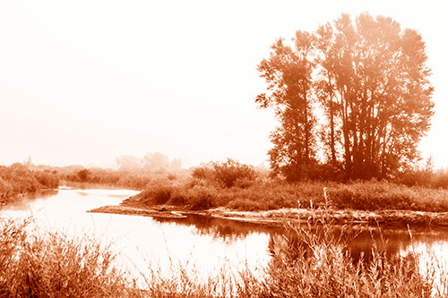 Large Foggy Trees At Edge Of River Bend (Orange Shade Photo)