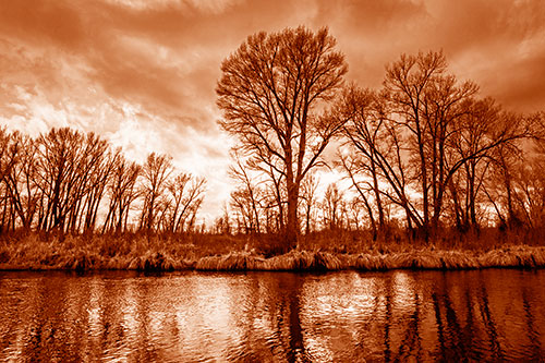 Leafless Trees Cast Reflections Along River Water (Orange Shade Photo)