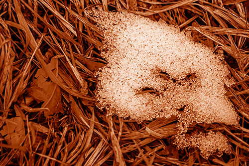 Miserable Slanted Grass Eyed Snow Face (Orange Shade)