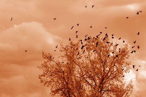 Murder Of Crows Swarm Autumn Tree (Orange Shade)