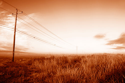 Powerlines Descend Among Foggy Prairie (Orange Shade Photo)