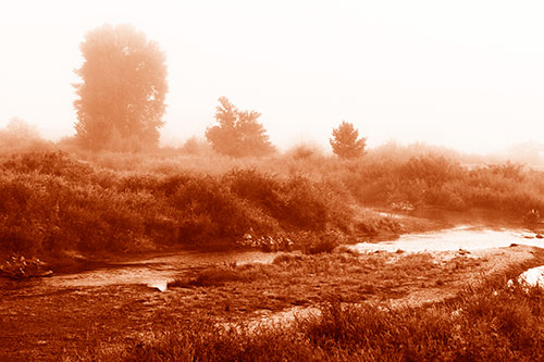 River Flowing Along Foggy Vegetation (Orange Shade Photo)