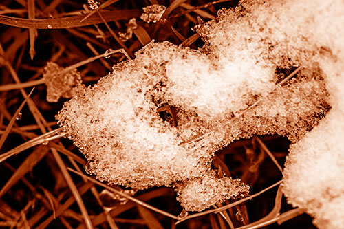Sad Melting Grass Tangled Snow Face (Orange Shade)
