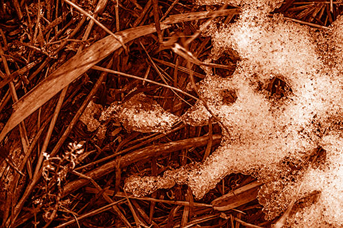 Sad Mouth Melting Ice Face Creature Among Soggy Grass (Orange Shade Photo)