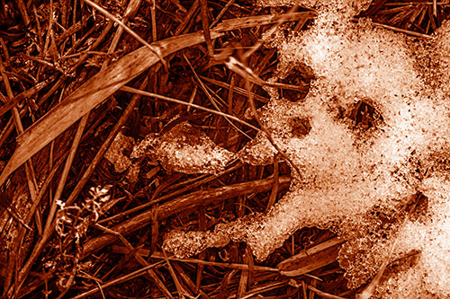 Sad Mouth Melting Ice Face Creature Among Soggy Grass (Orange Shade)