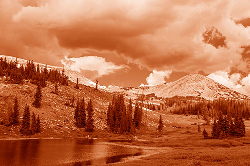 Scattered Trees Along Mountainside (Orange Shade Photo)