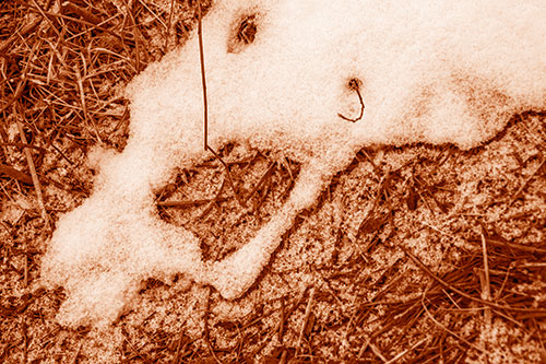 Screaming Stick Eyed Snow Face Among Grass (Orange Shade)