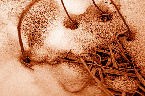 Screaming Twisted Grass Face Piercing Through Snow (Orange Shade)