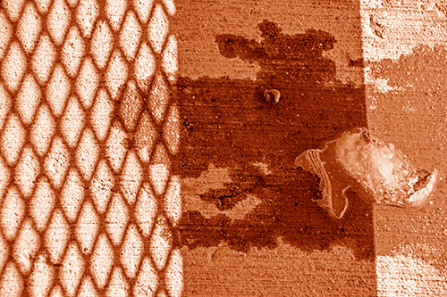 Shadow Obstructs Slobbery Pooch Faced Puddle (Orange Shade Photo)