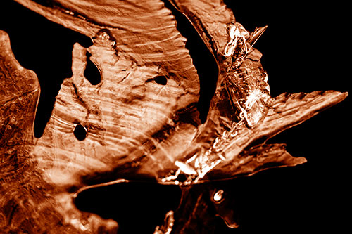 Shocked Jagged Curving Ice Face (Orange Shade)