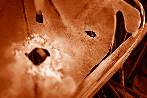 Shocked Peeling Grass Eyed Ice Face (Orange Shade)