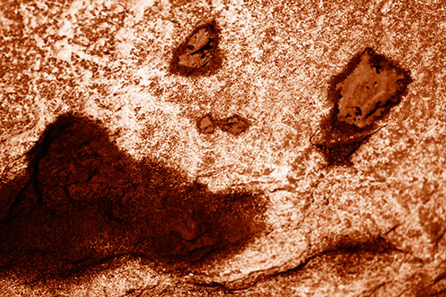 Shocked Puddle Face Drying Among Rock Surface (Orange Shade)