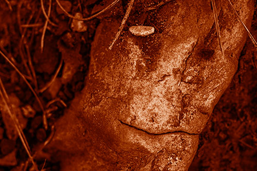 Smirking Battered Rock Face (Orange Shade Photo)