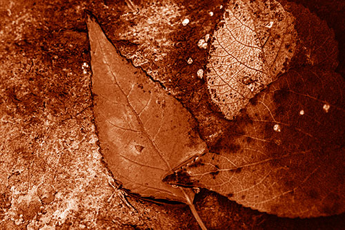 Soggy Cannibal Leaf Face Chewing Another Leaf (Orange Shade)