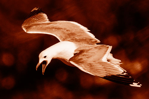 Squealing Seagull Spots Creature Among Lake Below (Orange Shade)