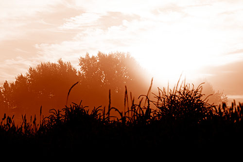 Sun Rises Beyond Fog Filled Treeline (Orange Shade Photo)