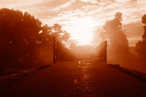 Sun Rises Beyond Foggy Wooden Walkway Bridge (Orange Shade Photo)