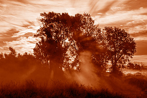 Sunlight Rays Burst Through Fog Surrounded Trees (Orange Shade)