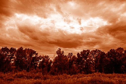 Thunderstorm Clouds Brewing Above Tree Line (Orange Shade)